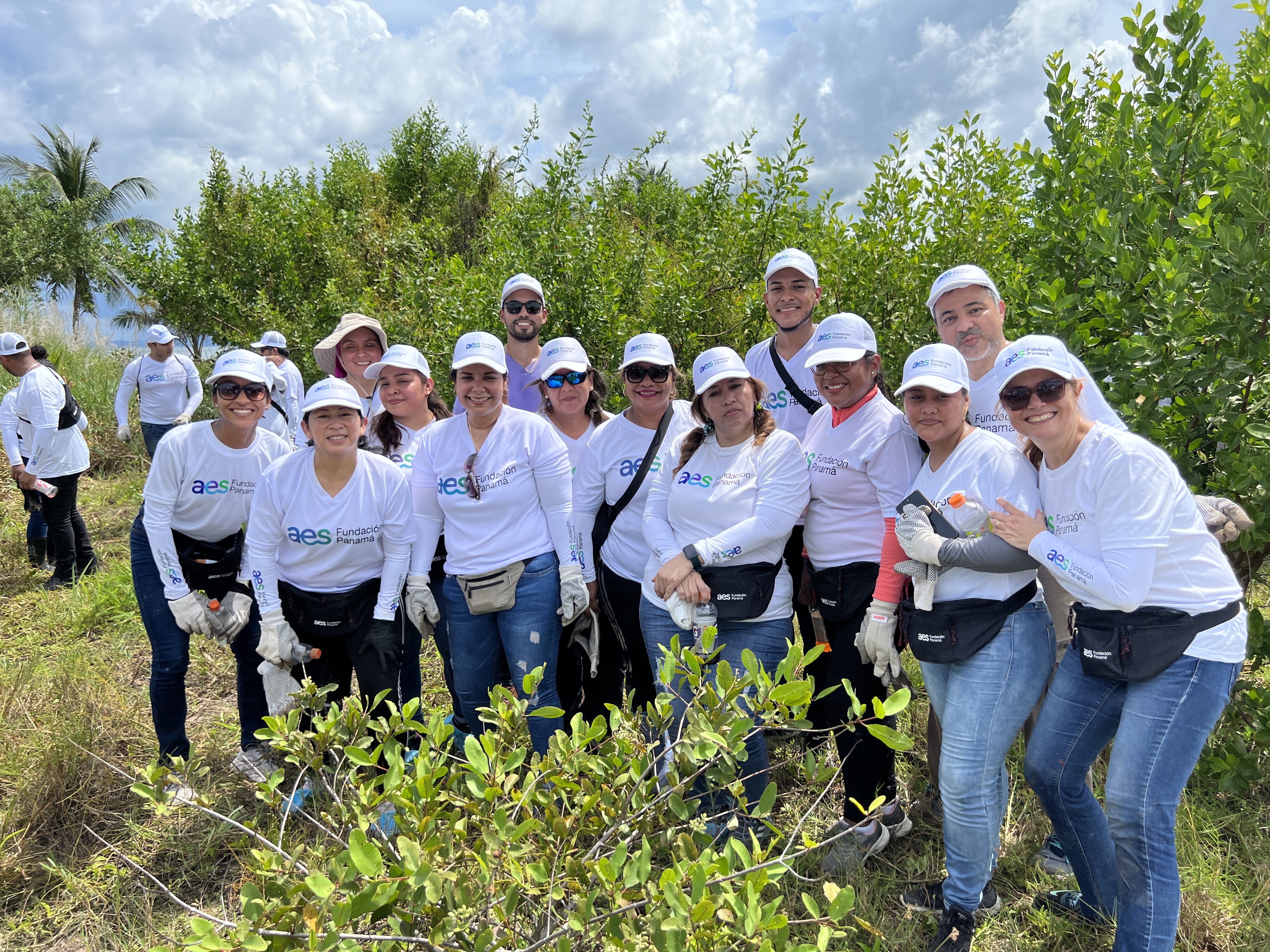 Voluntarios de la Fundación AES Panamá en la jornada de reforestación de Isla Galeta